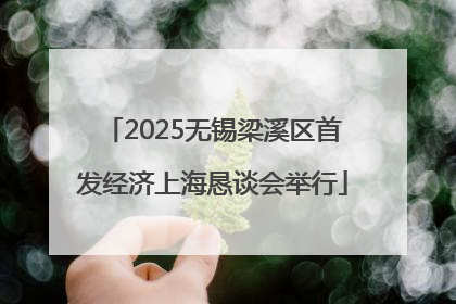 2025无锡梁溪区首发经济上海恳谈会举行