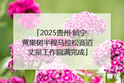 2025贵州·镇宁黄果树半程马拉松赛道丈量工作圆满完成