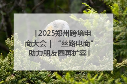 2025郑州跨境电商大会｜“丝路电商”助力朋友圈再扩容
