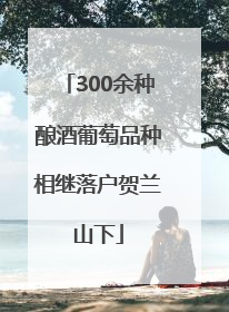 300余种酿酒葡萄品种相继落户贺兰山下