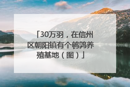 30万羽，在信州区朝阳镇有个鹌鹑养殖基地（图）