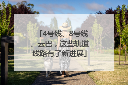 4号线、8号线、云巴，这些轨道线路有了新进展