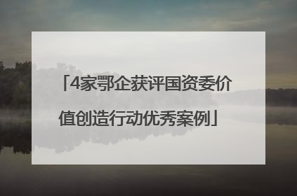 4家鄂企获评国资委价值创造行动优秀案例