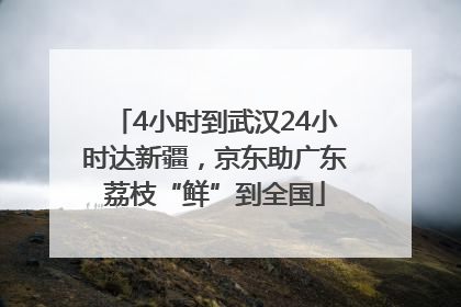 4小时到武汉24小时达新疆，京东助广东荔枝“鲜”到全国