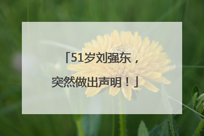 51岁刘强东，突然做出声明！