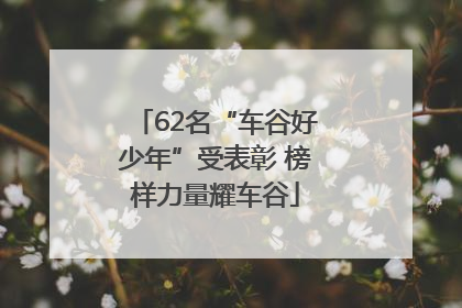 62名“车谷好少年”受表彰 榜样力量耀车谷