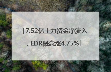 7.52亿主力资金净流入，EDR概念涨4.75%