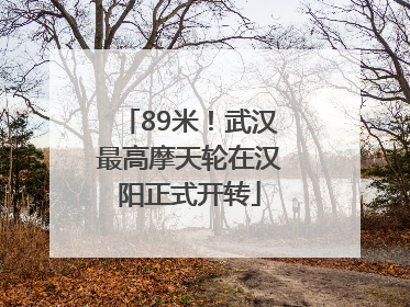 89米！武汉最高摩天轮在汉阳正式开转