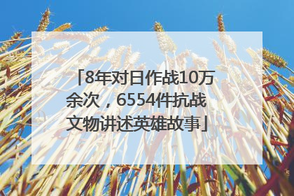 8年对日作战10万余次，6554件抗战文物讲述英雄故事