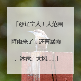 @辽宁人！大范围降雨来了，还有暴雨、冰雹、大风……