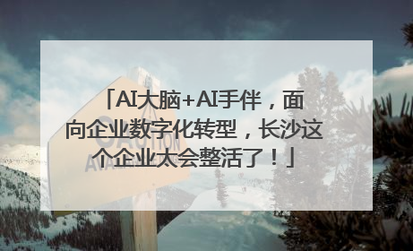 AI大脑+AI手伴，面向企业数字化转型，长沙这个企业太会整活了！