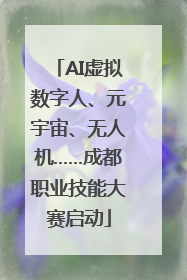 AI虚拟数字人、元宇宙、无人机……成都职业技能大赛启动