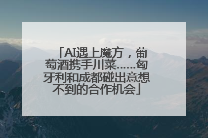 AI遇上魔方，葡萄酒携手川菜……匈牙利和成都碰出意想不到的合作机会