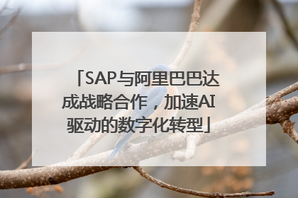 SAP与阿里巴巴达成战略合作，加速AI驱动的数字化转型