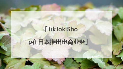 TikTok Shop在日本推出电商业务