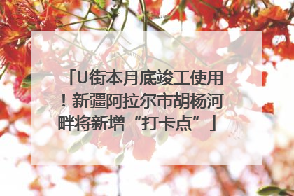 U街本月底竣工使用！新疆阿拉尔市胡杨河畔将新增“打卡点”